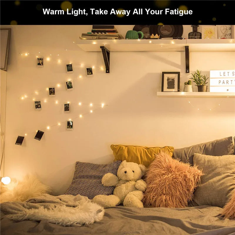 LED String Lights Photo Clip USB