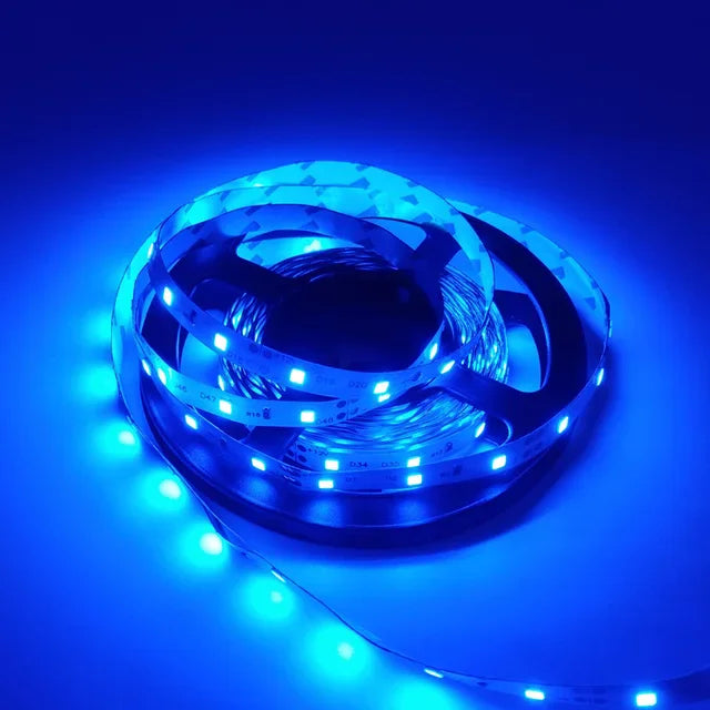 Led Strip Light 5M 300Leds SMD2835 12V
